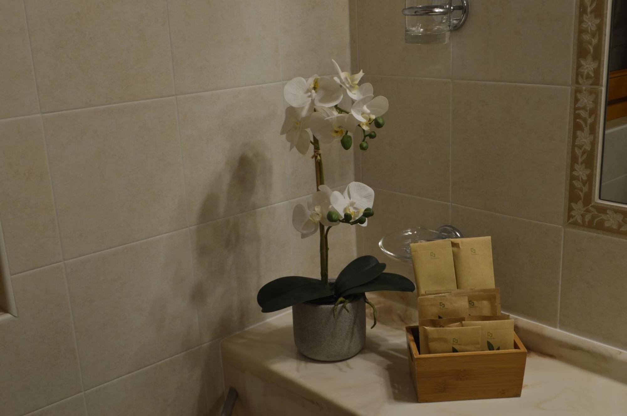 Hotel Hotel Garni Sant'Antonio Con Spa Madonna di Campiglio